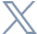 X Icon